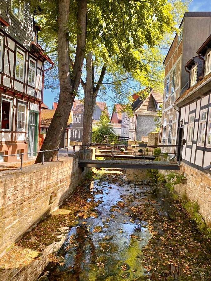 Ferienhaus Zur Abzuchtinsel Goslar Exterior photo